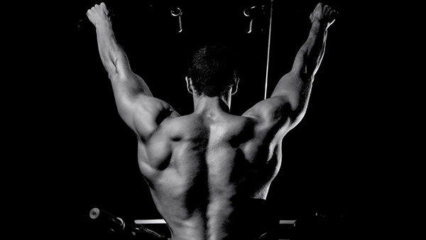 Testosterona